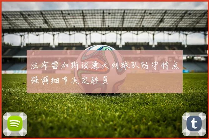 法布雷加斯谈意大利球队防守特点强调细节决定胜负
