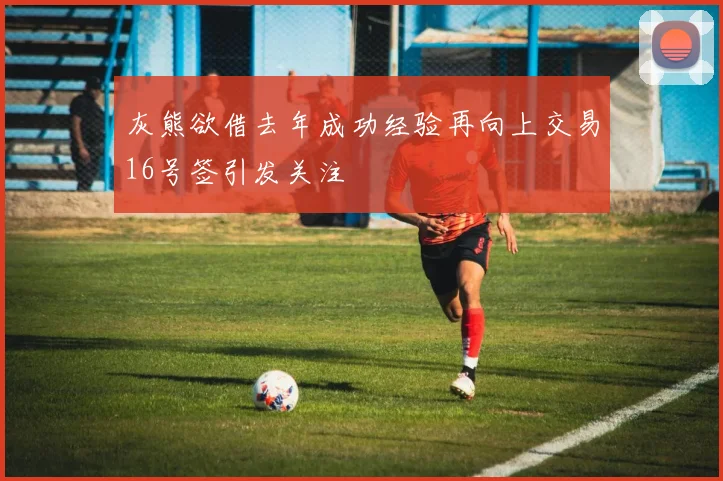 灰熊欲借去年成功经验再向上交易16号签引发关注